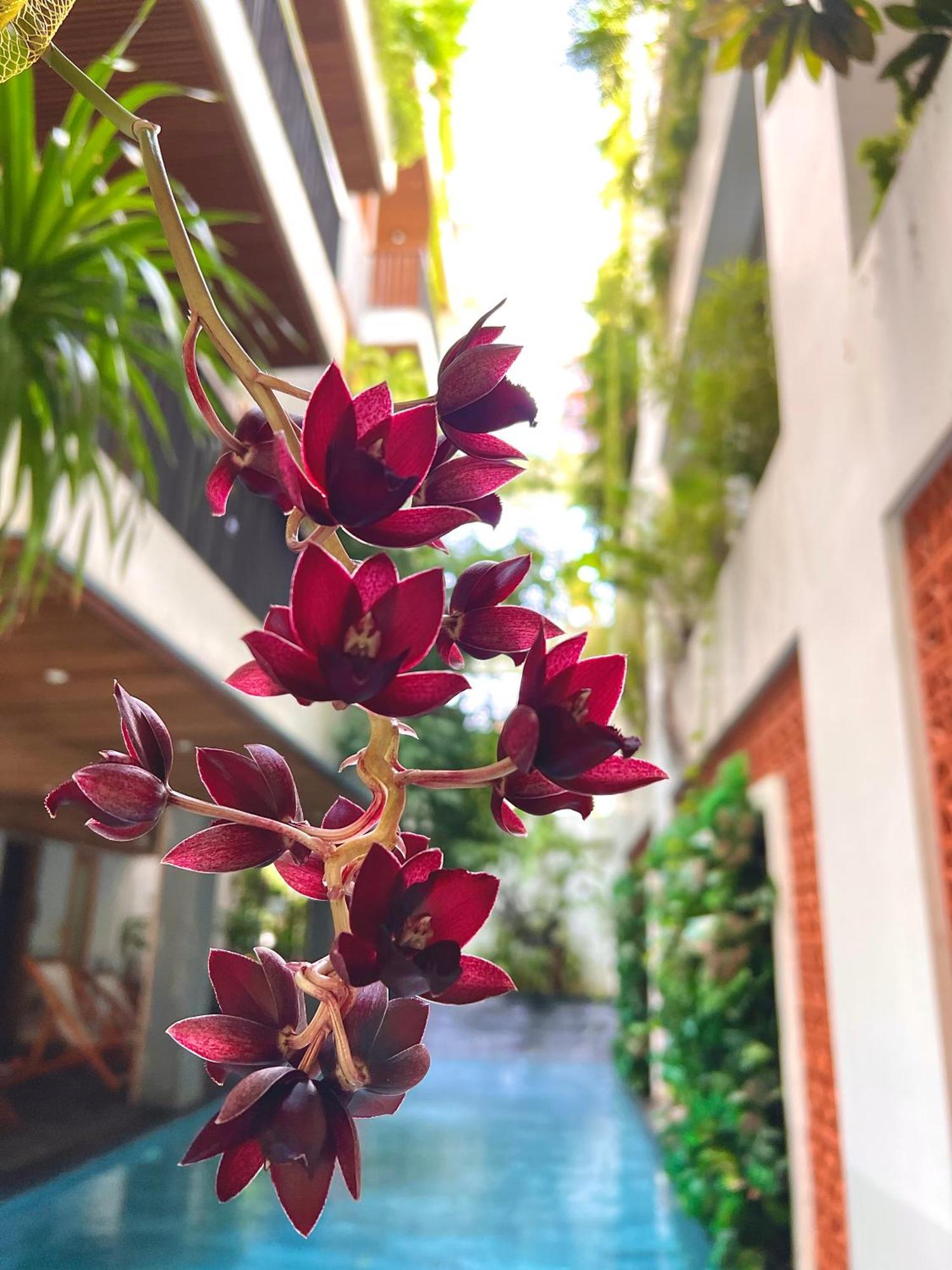 Ponte Boutique Da Nang Hotell Exteriör bild