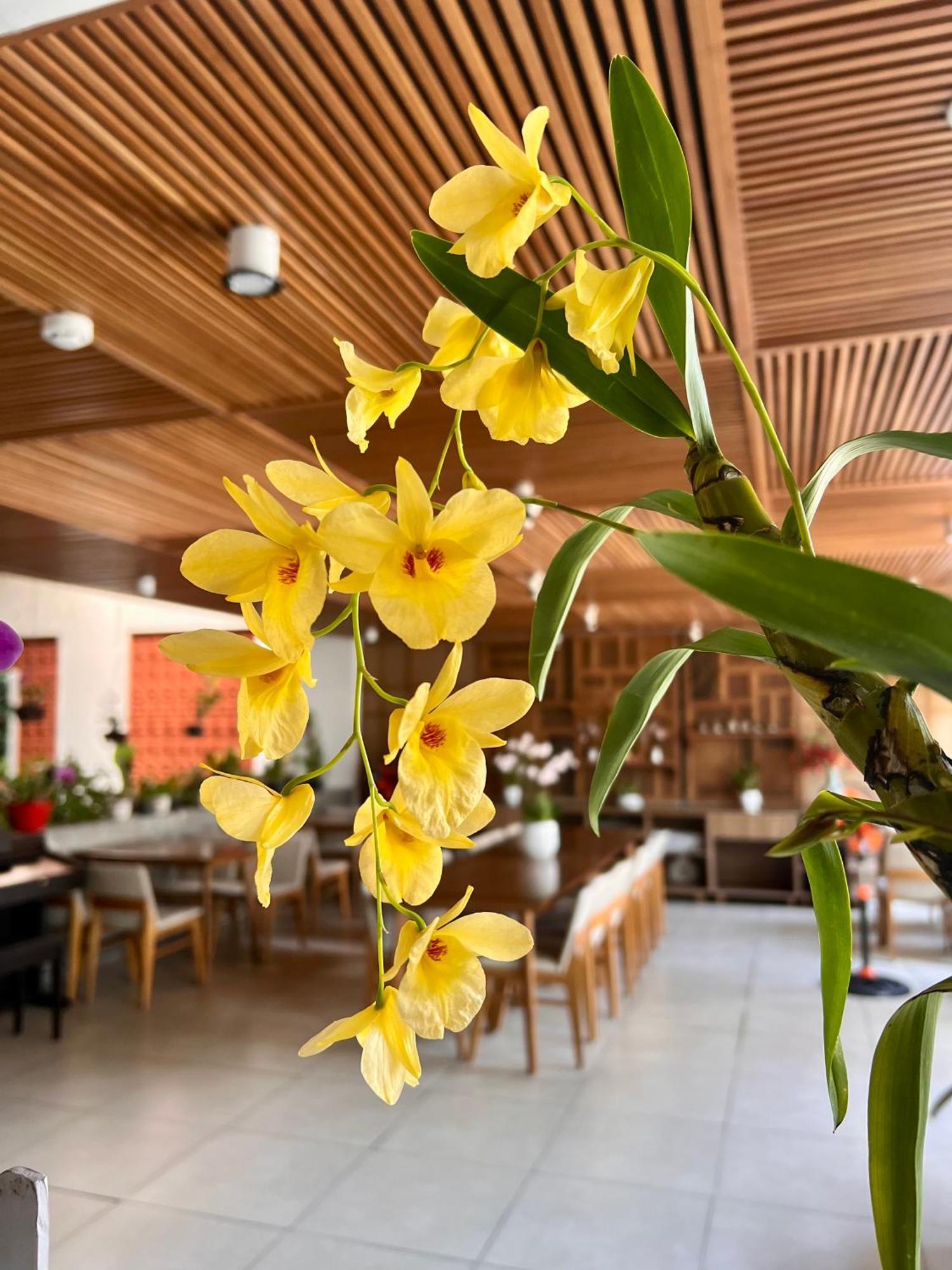 Ponte Boutique Da Nang Hotell Exteriör bild